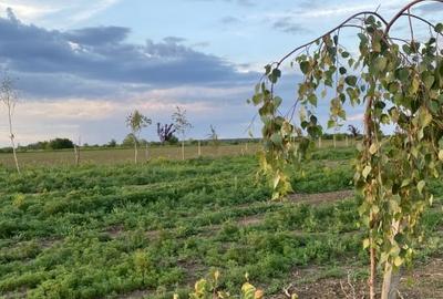 Teren vis a vis Laguna Albastra, Corbeanca - 10