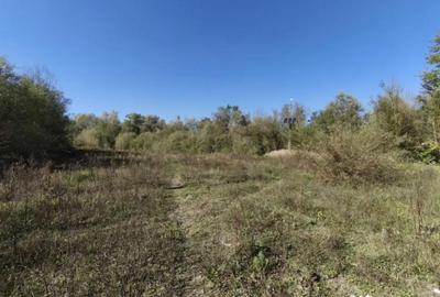 Teren de 7178 mp, în Frătăuții Vechi - 4