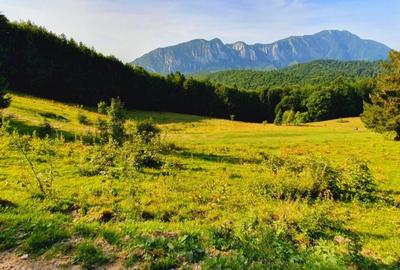 Teren de 2660 mp, în Timișu de Sus - 3