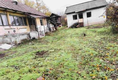 Casă în sat Ursoaia, com. Peșceana, jud. Vâlcea - 9