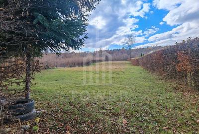 Teren de vanzare în reprezentare exclusivă, situat pe Valea Avrigului! - 6