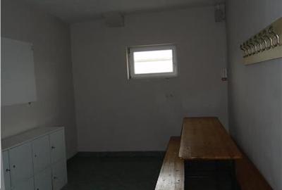 Hala de inchiriat in Aradul Nou - 10