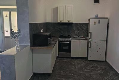 Casă cu Teren 500 Mp în Tărian - 4