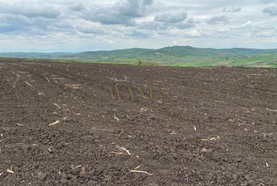 Teren agricol de 10200 mp, în Țagu - 5