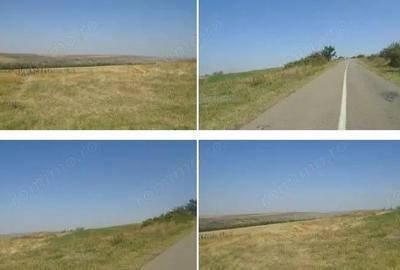 Teren Extravilan cota parte 1/4, Varlezi, ID: R2730256 - 7