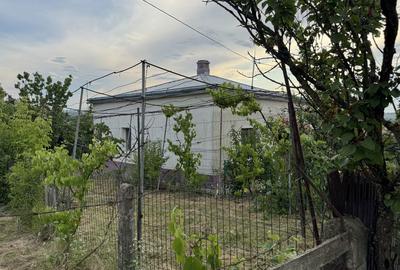 Spațiu comercial, în Răchiți - 3