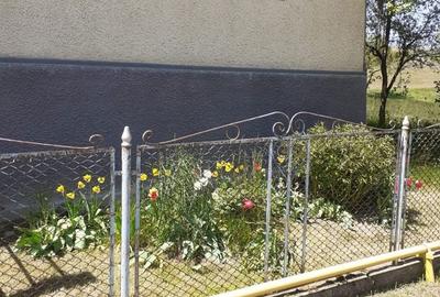 Casă cu 3 camere în Miceștii de Câmpie - 5