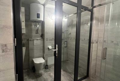 Apartament cu 2 camere semidecomandat în Ultracentral - 4
