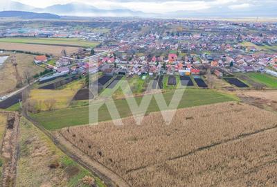 Teren 10000 mp in Extravilan, Bod, Brasov- COMISION 0% - 8