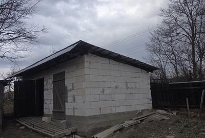 Casă cu 5 camere cu Teren 2000 Mp în Rădăuți-Prut - 2