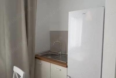 Garsonieră nedecomandată în Dudu - 4