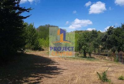 Teren 5000 mp, Calinesti, zona Gorganu - 4