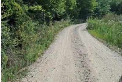 Teren de 400 mp, în Șotânga - 4