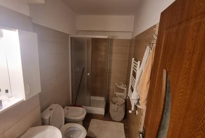 Apartament cu 3 camere semidecomandat în Tudor Vladimirescu - 6