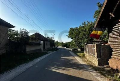Casă cu 2 camere cu Teren 4000 Mp în Budureasa - 8