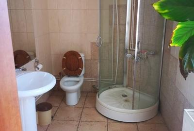 Casa D+P+E, Stefanesti -Coasta Campului, teren 1570 mp, mobilata - 8