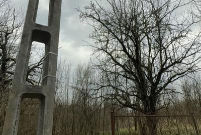 Casă cu 3 camere cu Teren 3500 Mp în Central - 5