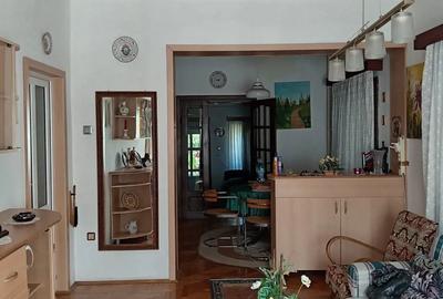 Vand casa mare pretabila pensiune sau clinica si casa de locuit, in aceeasi curte - 6