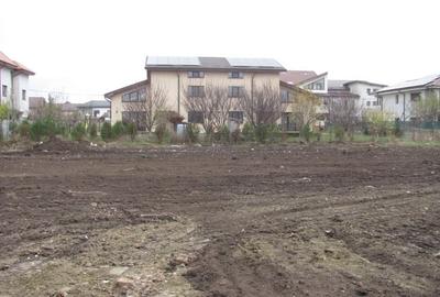 Bragadiru - Independentei, Oltetului, Stradal - 3