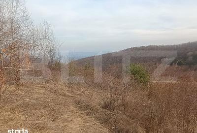 Teren de 12000 mp, în Stremț - 5