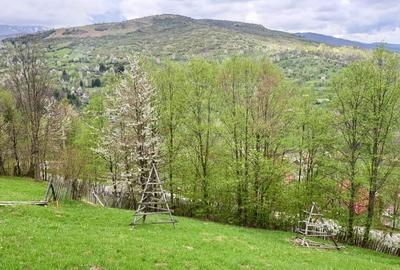 Teren cu priveliste panoramica , 2 deschideri la sosea asfaltata Teren cu priveliste panoramica , 2 deschideri la sosea asfaltata - 10