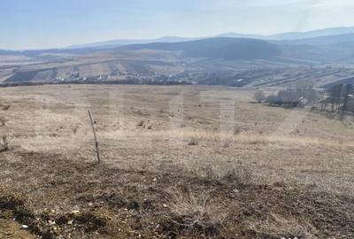 Teren de 140551 mp, în Recea - 5