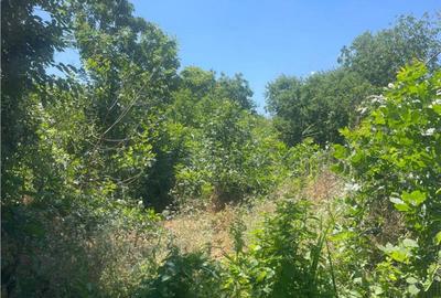 Teren cu casa de in zona Vararie Tulcea - 3