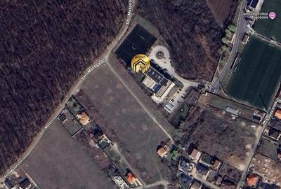 Teren intravilan 15.000mp langa FRF si Padure - Mogosoaia - 3