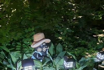 Bd. Lascar Catargiu terasa unica - 7