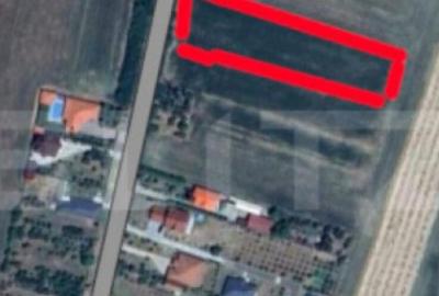 Teren de 2500 mp, în Sud - 4