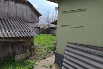 Casă cu 4 camere cu Teren 3045 Mp în Oțeleni - 3