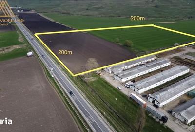 Teren de 40000 mp, în Ilișești - 4