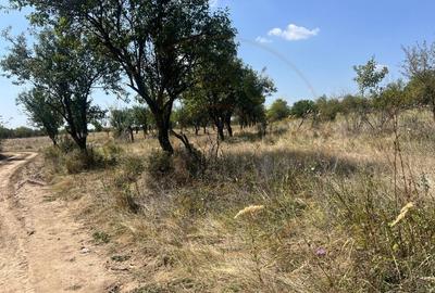 Teren intravilan 5744 mp Mosoaia-Prunilor - 2