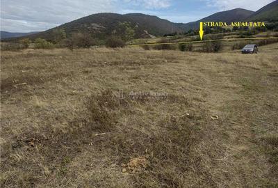 Coronini, Teren Drept, Vedere la Dunare, 1271 mp, 14,95 Euro Mp, Negociabil - 11