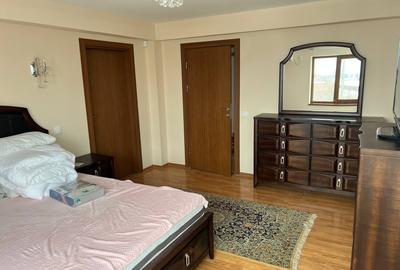 Moara Vlasiei, Particular, unica in zona, vila cu 9 camere, 7 bai, 2 garaje - 15