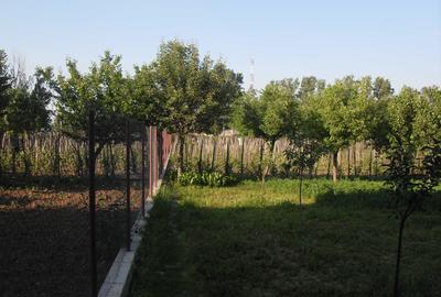 Casă cu 4 camere în Șimian - 5