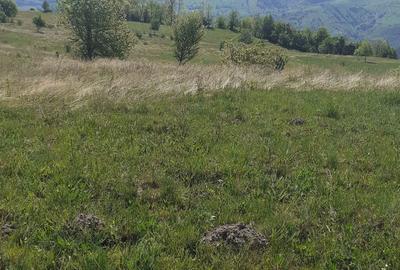 Teren în Cornereva - 4