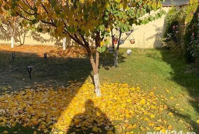 Casă cu 5 camere cu Teren 776 Mp în Central