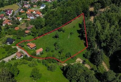 FILM! Proprietate autentica, Bran-Simon, 4.300 mp teren, casa traditionala + ane - 14