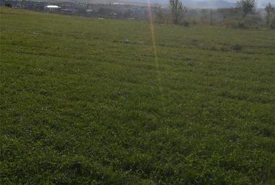 Teren de 42000 mp, în Central - 3
