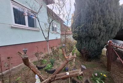 Casă cu 2 camere cu Teren 600 Mp în Central - 1