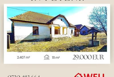 Casă cu 3 camere cu Teren 2407 Mp în Peteni - 11
