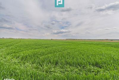 Spațiu comercial, în Moșnița Nouă - 1