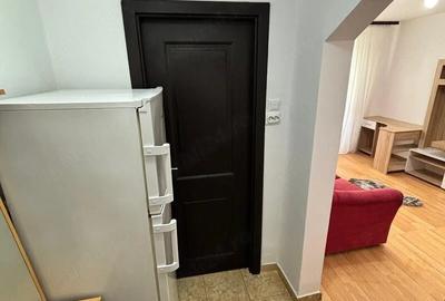 Apartament cu 2 camere semidecomandat în Costin Georgian - 3