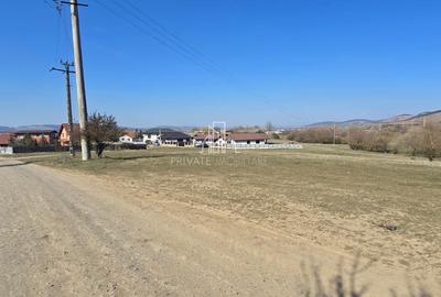 Teren Construcții intravilan de 4362 mp, în Sângeorgiu de Mureș - 1