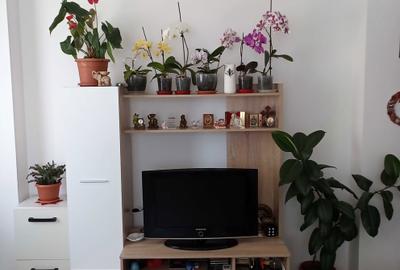 Apartament cu 2 camere decomandat în Chiajna - 3