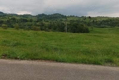 Teren de 3600 mp, în Aluniș - 3