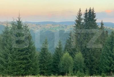 Teren în Mărișel - 4