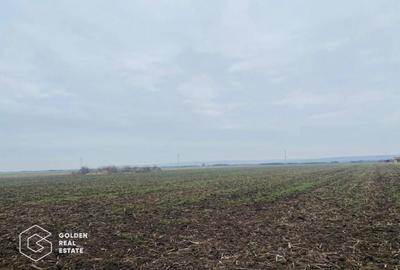 Teren, Intrare Recas, Drumul E70 - 2