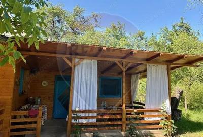 Casa / Vila cu 5 camere de vanzare - 9